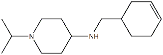 N-(cyclohex-3-en-1-ylmethyl)-1-(propan-2-yl)piperidin-4-amine Struktur