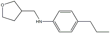 N-(oxolan-3-ylmethyl)-4-propylaniline Struktur