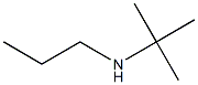 N-(tert-butyl)-N-propylamine Struktur