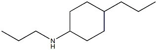 N,4-dipropylcyclohexan-1-amine Struktur