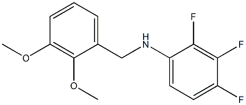 N-[(2,3-dimethoxyphenyl)methyl]-2,3,4-trifluoroaniline Struktur