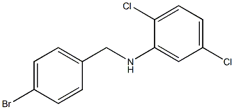 N-[(4-bromophenyl)methyl]-2,5-dichloroaniline Struktur