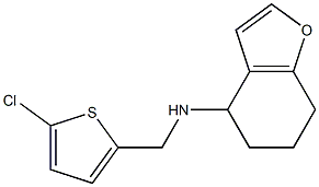 N-[(5-chlorothiophen-2-yl)methyl]-4,5,6,7-tetrahydro-1-benzofuran-4-amine Struktur