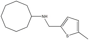 N-[(5-methylthiophen-2-yl)methyl]cyclooctanamine Struktur