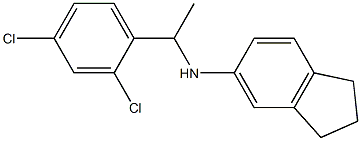 N-[1-(2,4-dichlorophenyl)ethyl]-2,3-dihydro-1H-inden-5-amine Struktur