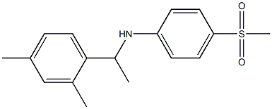 N-[1-(2,4-dimethylphenyl)ethyl]-4-methanesulfonylaniline Struktur