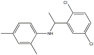 N-[1-(2,5-dichlorophenyl)ethyl]-2,4-dimethylaniline Struktur