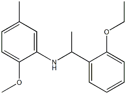 N-[1-(2-ethoxyphenyl)ethyl]-2-methoxy-5-methylaniline Struktur