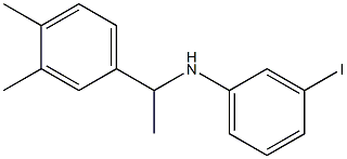 N-[1-(3,4-dimethylphenyl)ethyl]-3-iodoaniline Struktur