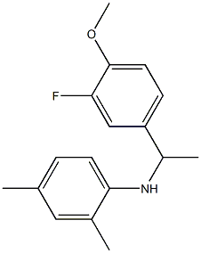 N-[1-(3-fluoro-4-methoxyphenyl)ethyl]-2,4-dimethylaniline Struktur