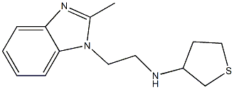 N-[2-(2-methyl-1H-1,3-benzodiazol-1-yl)ethyl]thiolan-3-amine Struktur