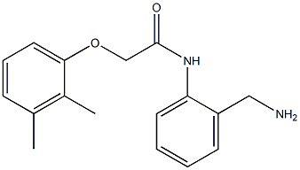 N-[2-(aminomethyl)phenyl]-2-(2,3-dimethylphenoxy)acetamide Struktur