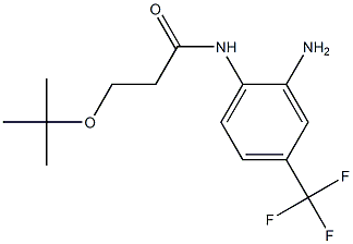 N-[2-amino-4-(trifluoromethyl)phenyl]-3-(tert-butoxy)propanamide Struktur