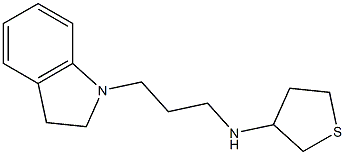 N-[3-(2,3-dihydro-1H-indol-1-yl)propyl]thiolan-3-amine Struktur