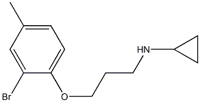 N-[3-(2-bromo-4-methylphenoxy)propyl]cyclopropanamine Struktur