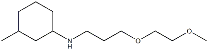 N-[3-(2-methoxyethoxy)propyl]-3-methylcyclohexan-1-amine Struktur