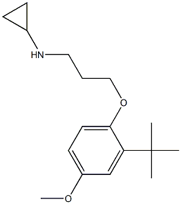 N-[3-(2-tert-butyl-4-methoxyphenoxy)propyl]cyclopropanamine Struktur