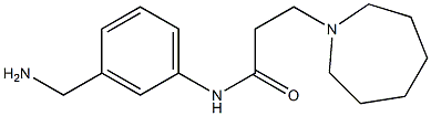 N-[3-(aminomethyl)phenyl]-3-azepan-1-ylpropanamide Struktur