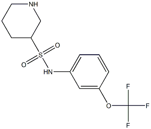 N-[3-(trifluoromethoxy)phenyl]piperidine-3-sulfonamide Struktur