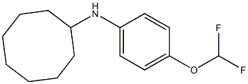 N-[4-(difluoromethoxy)phenyl]cyclooctanamine Struktur