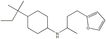 N-[4-(furan-2-yl)butan-2-yl]-4-(2-methylbutan-2-yl)cyclohexan-1-amine Struktur