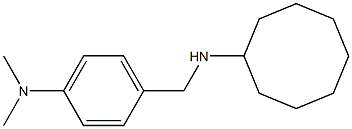 N-{[4-(dimethylamino)phenyl]methyl}cyclooctanamine Struktur