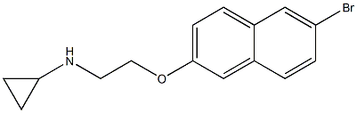 N-{2-[(6-bromonaphthalen-2-yl)oxy]ethyl}cyclopropanamine Struktur