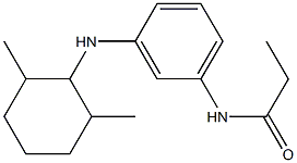 N-{3-[(2,6-dimethylcyclohexyl)amino]phenyl}propanamide Struktur