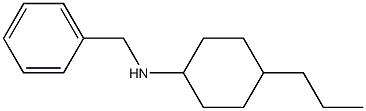 N-benzyl-4-propylcyclohexan-1-amine Struktur