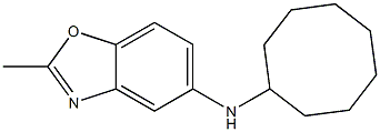 N-cyclooctyl-2-methyl-1,3-benzoxazol-5-amine Struktur