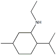 N-ethyl-5-methyl-2-(propan-2-yl)cyclohexan-1-amine Struktur