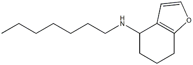 N-heptyl-4,5,6,7-tetrahydro-1-benzofuran-4-amine Struktur