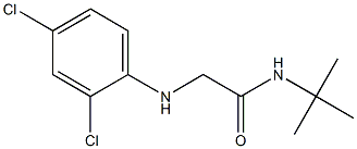 N-tert-butyl-2-[(2,4-dichlorophenyl)amino]acetamide Struktur