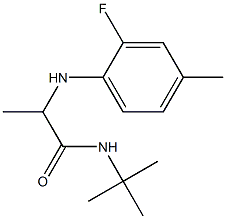 N-tert-butyl-2-[(2-fluoro-4-methylphenyl)amino]propanamide Struktur