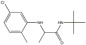 N-tert-butyl-2-[(5-chloro-2-methylphenyl)amino]propanamide Struktur