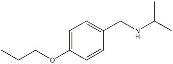 propan-2-yl[(4-propoxyphenyl)methyl]amine Struktur