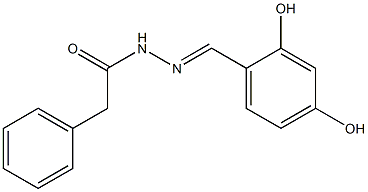 N'-(2,4-dihydroxybenzylidene)-2-phenylacetohydrazide Struktur