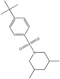 1-[(4-tert-butylphenyl)sulfonyl]-3,5-dimethylpiperidine Struktur