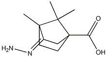 3-hydrazono-4,7,7-trimethylbicyclo[2.2.1]heptane-1-carboxylic acid Struktur