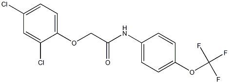 2-(2,4-dichlorophenoxy)-N-[4-(trifluoromethoxy)phenyl]acetamide Struktur