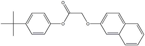 4-(tert-butyl)phenyl 2-(2-naphthyloxy)acetate Struktur