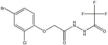 N'-[2-(4-bromo-2-chlorophenoxy)acetyl]-2,2,2-trifluoroacetohydrazide Struktur