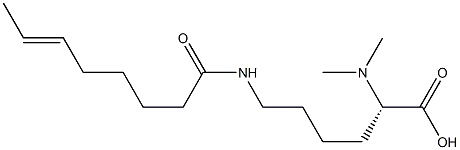 N6-(6-Octenoyl)-N2,N2-dimethyllysine Struktur