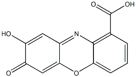 8-Hydroxy-7-oxo-7H-phenoxazine-1-carboxylic acid Struktur