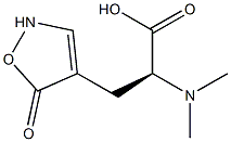 (S)-2-(Dimethylamino)-3-[(2,5-dihydro-5-oxoisoxazol)-4-yl]propanoic acid Struktur