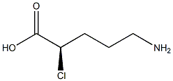 [R,(+)]-5-Amino-2-chlorovaleric acid Struktur