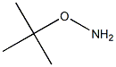 O-tert-Butylhydroxylamine Struktur