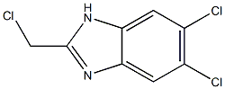 2-Chloromethyl-5,6-dichloro-1H-benzimidazole Struktur