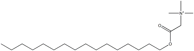 Trimethyl(hexadecyloxycarbonylmethyl)aminium Struktur