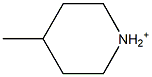 4-Methylpiperidinium Struktur